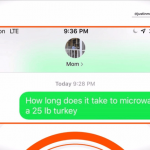 Can you actually microwave a Thanksgiving turkey? Butterball responds to  viral prank