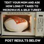 When Your Kid Plays a Prank: How to Microwave a Turkey – tales from the  side of the tub