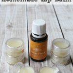 Homemade Lip Balm Recipe Made with Beeswax and Shea | Homemade lip balm  recipe, Homemade lip balm, Lip balm recipes