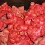 Microwave Peanut Patties | Peanut patties, Recipes, Louisiana recipes