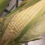 Microwave Tricks: Ungrilling Corn on the Cob – Slow Food Fast