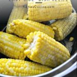 280 Sweet Corn Love ideas in 2021 | recipes, food, cooking recipes