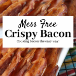 The Best Microwave Bacon Cooker For 2021