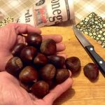 The Irish Food Guide by Zack Gallagher. News about Food and Food Tourism in  Ireland: How to Roast Chestnuts without an Open Fire