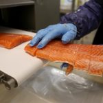 Food for Thought: Stay away from frozen fish – Santa Cruz Sentinel