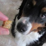 4 Ingredient High Quality Homemade Puppy/Dog Training Treats | Clean  Fingers Laynie