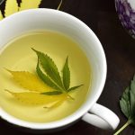 3 Simple Steps to Make Weed Tea That Will Blow Your Mind and Your Tast –  Weed Republic