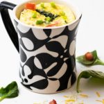 On the Go – Microwave Oven Recipes