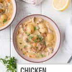 Instant Pot Chicken Fricassee - My Kitchen Love