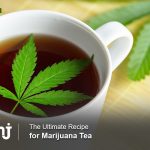 The Ultimate Recipe for Marijuana Tea - MMJ DOCTOR