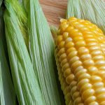 The Best Way to Make Microwave Corn on the Cob - Shuck on or Off!