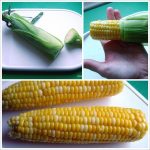 Microwave Corn on the Cob in Husk - No Messy Silk! - The Dinner-Mom