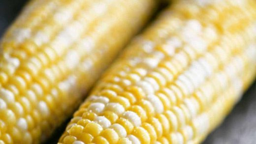 how long to cook corn on the%20cob in the microwave without husk – Microwave  Recipes