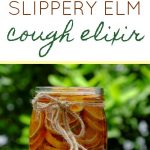 Homemade Slippery Elm Cough Syrup | Ready Nutrition