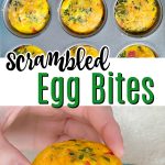 Scrambled Egg Bites (freezer breakfast idea) - Freezer Meals 101