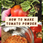 How to Make Tomato Powder from tomato skins - Our Future Homestead