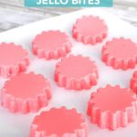 Yogurt Jello Bites - Step Away From The Carbs