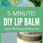 Delicious DIY Shea Butter Lip Balm Recipe Without Beeswax - beautymunsta -  free natural beauty hacks and more! | Shea butter lip balm, Lip balm recipes,  Beeswax lip balm