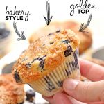 Blueberry Muffins - Cakescottage