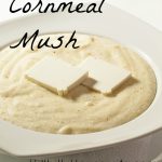 Cornmeal Mush - Hillbilly Housewife