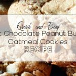 Dark Chocolate Peanut Butter Oatmeal Cookies Recipe | Eat Walk Play