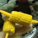 Microwave Corn on the Cob – Lazy Dog Motors