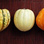 Carnival Squash Stuffed with Cranberry Maple Quinoa and Beans | the taste  space