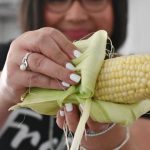 5 Minute •How to Microwave Sweet Corn on the Cob • Loaves and Dishes