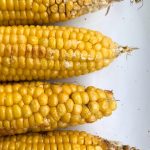 how to cook corn on the cob in the microwave without husk – Microwave  Recipes