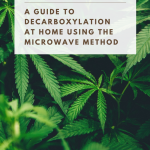 Cannabis: A Guide to Decarboxylation at Home Using the Microwave  MethodBroke and Chic