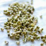 How do you cook mung beans? | FreeFoodTips.com