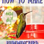 Hummingbird Feeder – World's Best Hummingbird Feeders