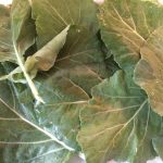 Collards and Kimchi – Andrea's Garden Cooking