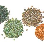 Lentils Superfood - Edible San Francisco