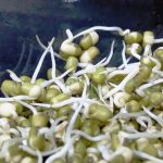 How to Sprout Mung Beans by DK on Jun 3, 2010