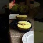 How to roast breadfruit in the Microwave - YouTube