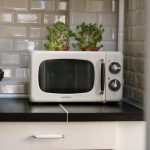 Microwaves: An underrated kitchen appliance | Education & Experiments  |Science Meets Food