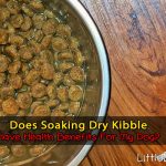How To Add Water To Your Dog's Food – Benefits Of Adding Water To Dry  Kibble - Little Dog Tips