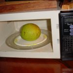 Cooking breadfruit | honolulu ulu
