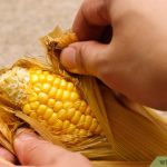 3 Ways to Cook Corn in the Microwave - wikiHow