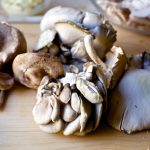 mushroom tartines – smitten kitchen