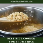 10 Best Rice Cooker For Brown Rice - Easy To Operate & Compact |  Pressurecookerviews