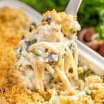 Chicken Tetrazzini - Dinner at the Zoo
