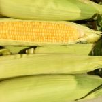 Enlist the Microwave for Easy Corn on the Cob - Say Bye Bye to Silk! -  Cooking TV Recipes