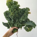 Autumn – Baked Kale Chips – Felicity Jean