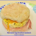 Microwaved Ham Cheese Omelet / The Grateful Girl Cooks!