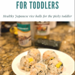 Salmon Onigiri (Japanese Rice Balls) for Toddlers – Pearls of Jasmine
