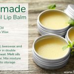 Diy coconut oil lip balm. DIY Lip Balm with Shea Butter