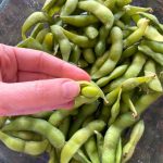 How To Cook Frozen Edamame In The Microwave – Melanie Cooks