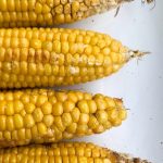 How to Microwave Corn on the Cob Without Husks – Microwave Meal Prep